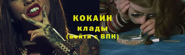 соль ск Алексин