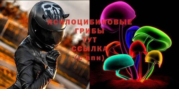 соль ск Алексин